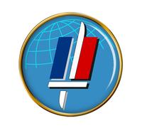 Francese Militare ( Armée De Terre ) Spilla