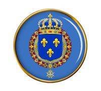 Francese Reale Cappotto Of Arms Spilla