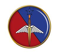 Francese Speciale Forze (Brigade Des Forze Spéciales Terre ) Bfst. Spilla