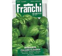 Franchi - Basilico classico italiano