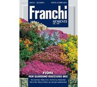 Franchi - Fiori rocciosi misti