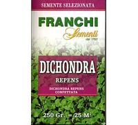SEMI SEMENTI DI PRATO DICHONDRA DICONDRA REPENS PER GIARDINO SEMPREVERDE 22192