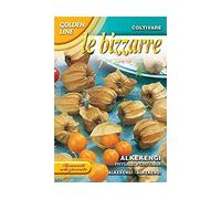 Franchi Sementi Le Bizzarre semi di Alkekengi Physalis Peruviana