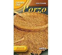 Franchi sementi linea orzo da seme (hordeum vulgare) in confezione goldel line da 100 grammi