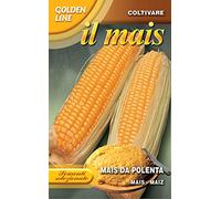 FRANCHI SEMENTI Mais per polenta da seminare gr. 100 - Sementi da orto