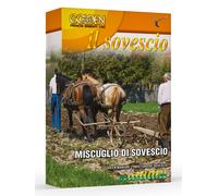 Franchi Sementi Miscuglio di sovescio semi orto