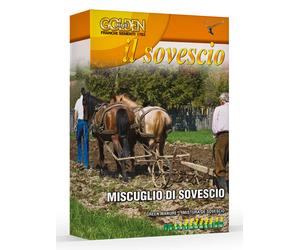 Franchi Sementi Miscuglio di sovescio semi orto