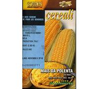 FRANCHI SEMENTI SEMENTE di Mais da Polenta VARIETA' CORNIOLA in Confezione da 100 Grammi