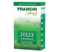 Franchi Sementi Semi per prato jolly universale 500 g