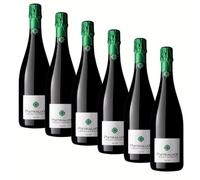 Franciacorta Brut Saten DOCG | Pietraluce | Confezione da 6 Bottiglie da 75 Cl | Idea Regalo