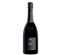 Franciacorta Contadi Castaldi Brùt