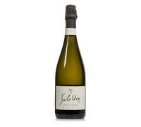 Franciacorta DOCG Brut - SoloUva 0.75 lt