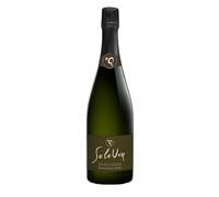 Franciacorta DOCG Dosaggio Zero - SoloUva 0.75 lt