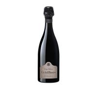 Franciacorta Extra Brut 'Vintage Collection' Ca' del Bosco 2021