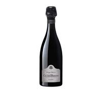 Franciacorta Saten 'Vintage Collection' Ca' del Bosco 2021