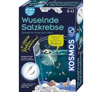 Franckh-Kosmos Fun Science Wuselnde Salzkrebse: Experimentierkasten