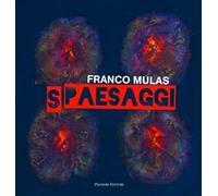 Franco Mulas. Spaesaggi. Opere dal 1980 al 2013. Ediz. illustrata