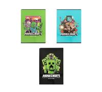 Franco Panini. Set 6 Quadernoni Compatibile con Minecraft Pixel Righe A con Margine 100gr 1° e 2° Elementare Formato A4