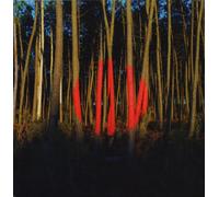 Francois & the Atlas Mountains - Piano Ombre