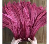 Frangia di piume， Nastro di piume coda, frange, 100 pezzi grezze code pennacchi decorazioni for la casa artigianato centrotavola for feste matrimonio accessori(Burgundy)