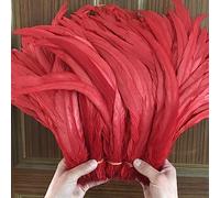 Frangia di piume, Nastro di piume coda, frange, 100 pezzi grezze code pennacchi decorazioni for la casa artigianato centrotavola for feste matrimonio accessori(Red)