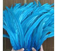 Frangia di piume， Nastro di piume coda, frange, 100 pezzi grezze code pennacchi decorazioni for la casa artigianato centrotavola for feste matrimonio accessori(Turquoise)