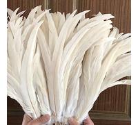 Frangia di piume， Nastro di piume coda, frange, 100 pezzi grezze code pennacchi decorazioni for la casa artigianato centrotavola for feste matrimonio accessori(White)