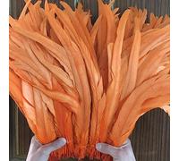 Frangia di piume， Nastro di piume coda, frange, 100 pezzi grezze code pennacchi decorazioni for la casa artigianato centrotavola for feste matrimonio accessori(Orange)