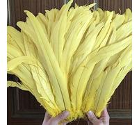 Frangia di piume， Nastro di piume coda, frange, 100 pezzi grezze code pennacchi decorazioni for la casa artigianato centrotavola for feste matrimonio accessori(Yellow)