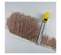 Frangiature con piume per il fai da te Frangia di piume di struzzo 2 metri 8-10 cm multicolore(Colour 23)