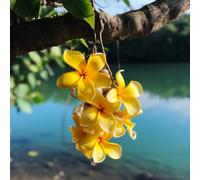 frangipane semi di Propagazione dei semi,decorazioni per giardini esterni Piantada balcone da giardino piantegiardino resistenti in crescita 150Seme