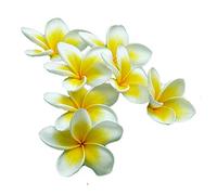 Frangipani Plumeria Rubra 10 SEMI COLORI MISTI fiore hawaiano lei