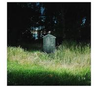 Frank Carter & The Rattlesnakes Dark Rainbow (Vinyl LP)