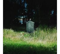 Frank Carter & The Rattlesnakes Dark Rainbow (CD) Album