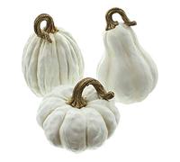 FRANK FLECHTWAREN Zucca bianca, set da 3 pezzi, bella decorazione autunnale, fantasia e moderna