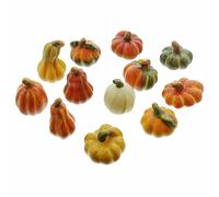 FRANK FLECHTWAREN Zucche Decorative in Terracotta, Set di 12