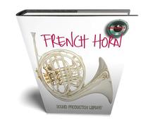 Frank Horn Real, grande Unique 24 bit WAVE/KONTAKT Multi-Layer Studio Samples Production Library over 16 GB su 3 DVD o download