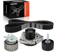 Frankberg 1x Set di cinghie di trasmissione Con Pompa acqua Diesel Compatibile con 147 937 156 932 159 939 156 Sportwagon 932 159 Brera 939 Giulietta 940 GT 937 Spider 939 BLS Malibu V300
