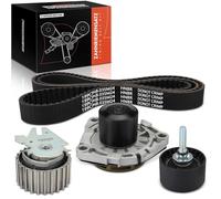 Frankberg 1x Set di cinghie di trasmissione Con Pompa acqua Diesel Compatibile con 147 937 156 932 159 939 156 Sportwagon 932 159 Brera 939 Giulietta 940 GT 937 Spider 939 BLS Malibu V300