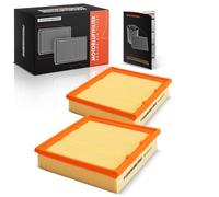 Frankberg 2 inserti filtro aria 6510940204