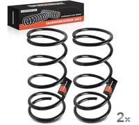 Frankberg 2x Molle di abbassamento Asse Posteriore Compatibile con Pajero Pinin H6W H7W 1999-2007 Replace# RD6420