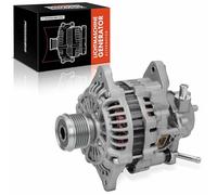 Frankberg Alternatore a 2 poli per benzina A003TN2581C