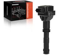 Frankberg Bobina di accensione compatibile con 911/911 Cabriolet/911 Targa 996 997 986 987 987 1996-2012 99760210400