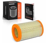Frankberg Filtro aria 7701039857