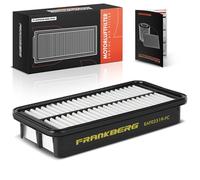 Frankberg Filtro aria elemento filtrante diesel 281131C500