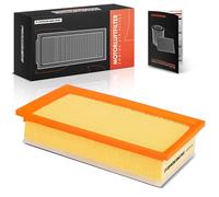 Frankberg Filtro aria filtro motore 9800097580