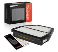 Frankberg Filtro aria Inserto filtro Filtro Compatibile con Antara L07 2.4L 3.2L Benzina 2006-2021 Captiva C100 C140 2.0L-3.2L Diesel 2006-2021 Replace# 96628890