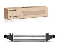 Frankberg Intercooler Compatibile con GLK-Class X204 3.0L Classe C T-Model S204 3.0L Classe C W204 3.0L Classe C T-Model S204 2.1L Classe C W204 1.6L Replace# 2045000300
