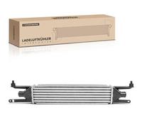 Frankberg Intercooler Compatibile con Grande Punto 199 1.3 D MultiJet Punto Evo 199 1.3 D MultiJet Cono 955 1.3 MultiJet Punto 199 1.3 D MultiJet Replace# 30750,96604