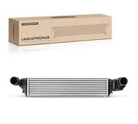 Frankberg Intercooler Compatibile con Serie 3 E46 320d Serie 3 Touring E46 320d Serie 3 Touring E46 330d Serie 3 E46 330d Serie 3 Touring E46 330xd Replace# 2246795,2246975